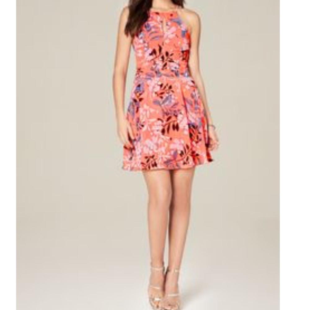 Bebe Floral skater dress w keyhole& lace up back